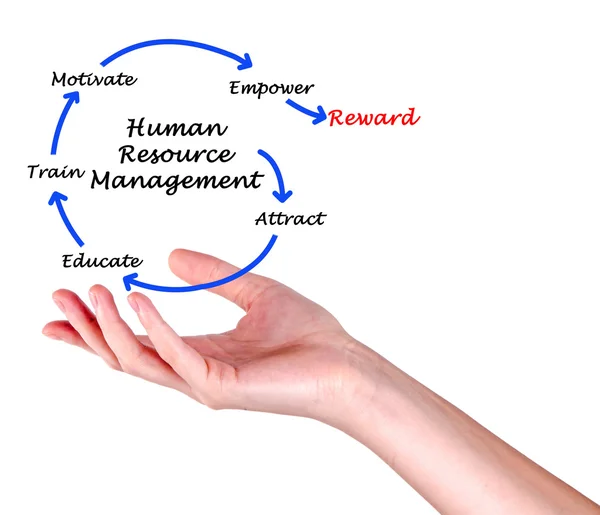 Human resource management — Stock Photo, Image