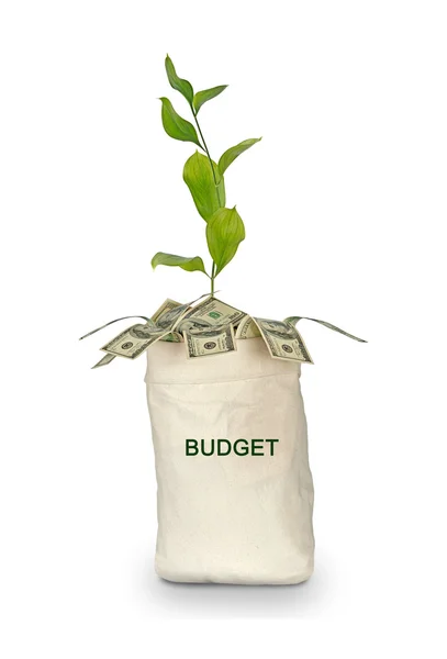 Money bag with budget — Stock Photo, Image