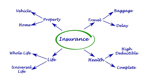 Diagrama del seguro — Foto de Stock