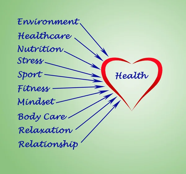 Diagrama de saúde — Fotografia de Stock
