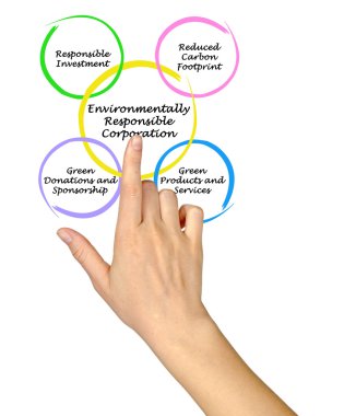 Çevresel Sorumluluk Kurumu