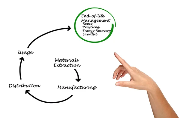 Product life cycle