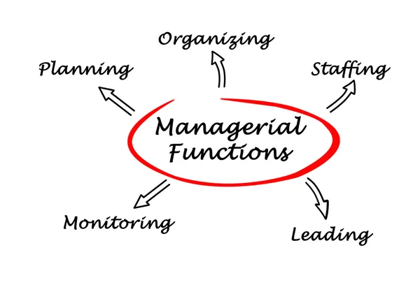 Leidinggevende functies — Stockfoto