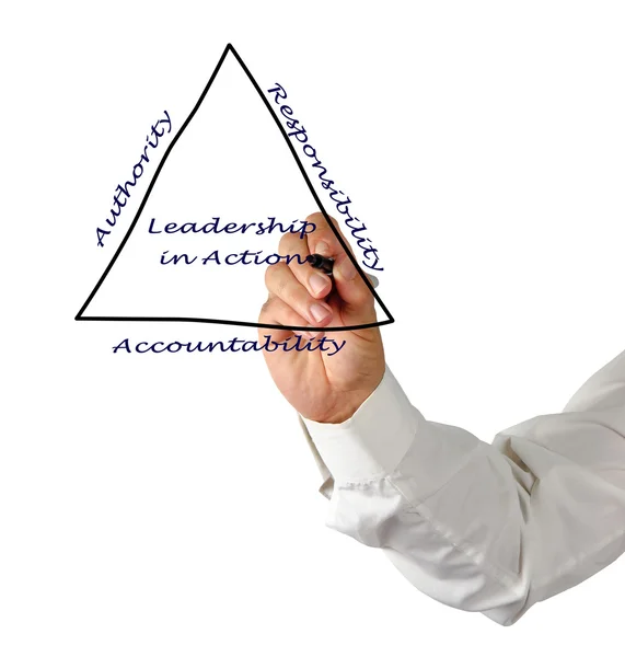 Diagram of leadership — Stock Photo, Image