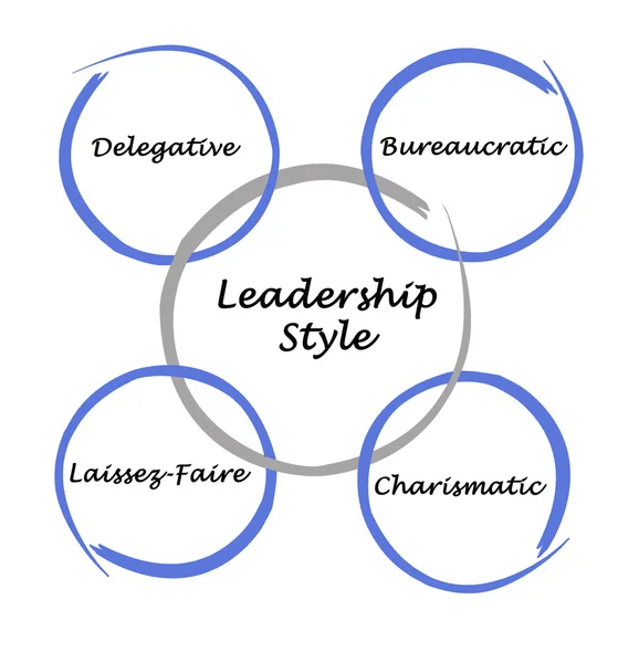 Leadership Style — Stock Photo, Image