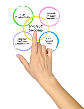 Proje başarı