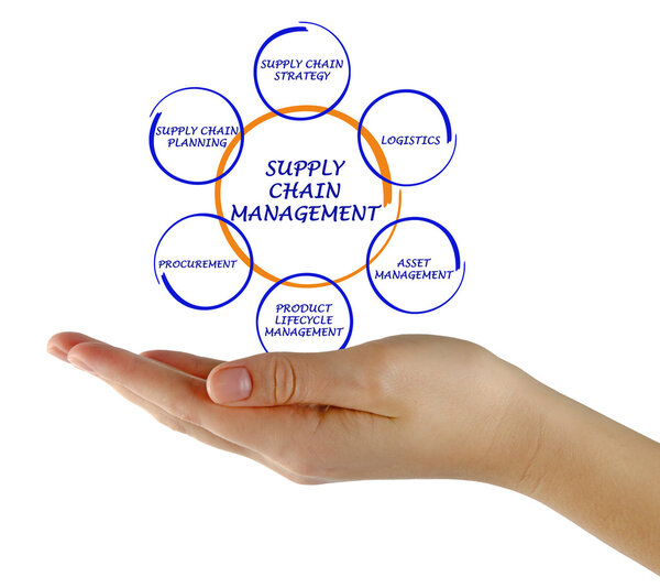 Управление цепочками поставок
