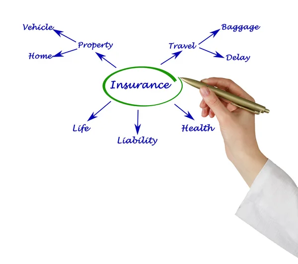 Diagram van verzekering — Stockfoto