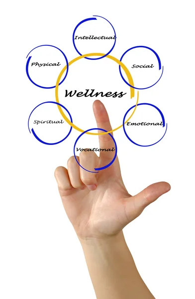 Diagram över wellness — Stockfoto