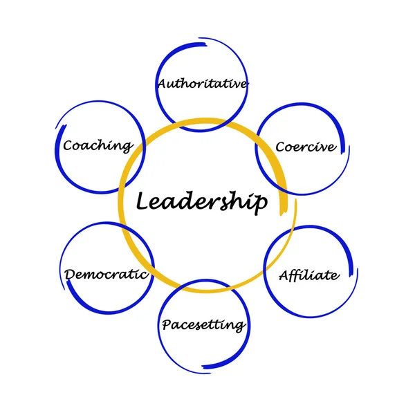 Стиль лидерства — стоковое фото