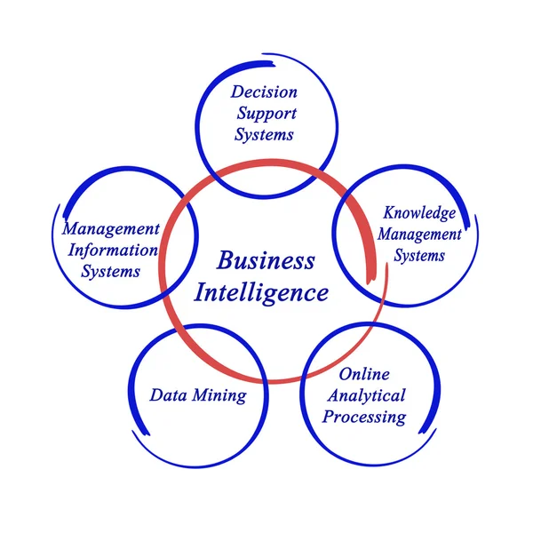 Business Intelligence — Stockfoto