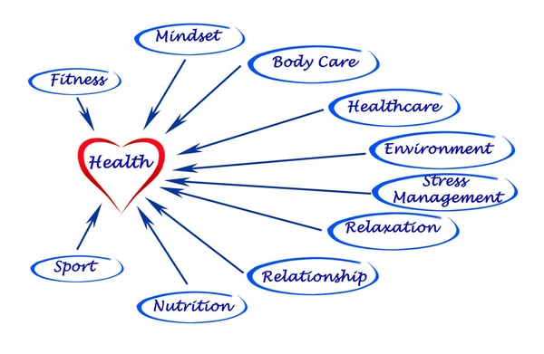 Diagram of health — Stock Photo, Image