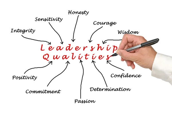 Diagram of leadership qualities — Stock Photo, Image