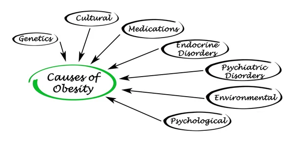 Causes of Obesity — Stock Photo, Image