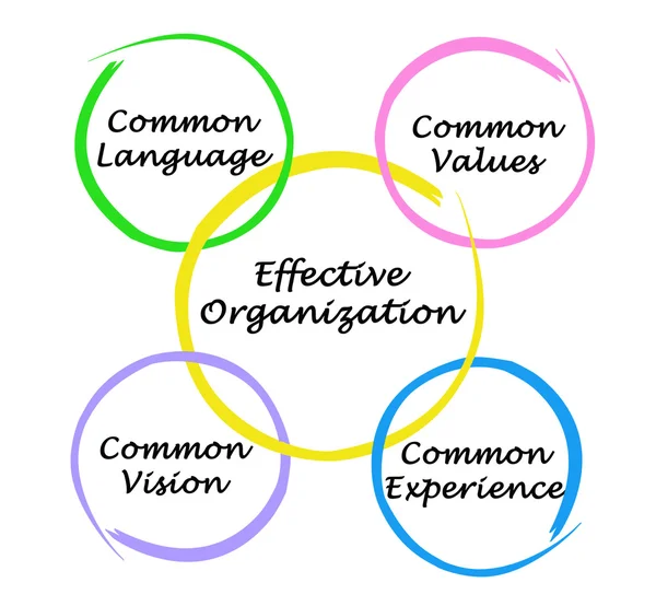 Effective Organizations — Stock Photo, Image