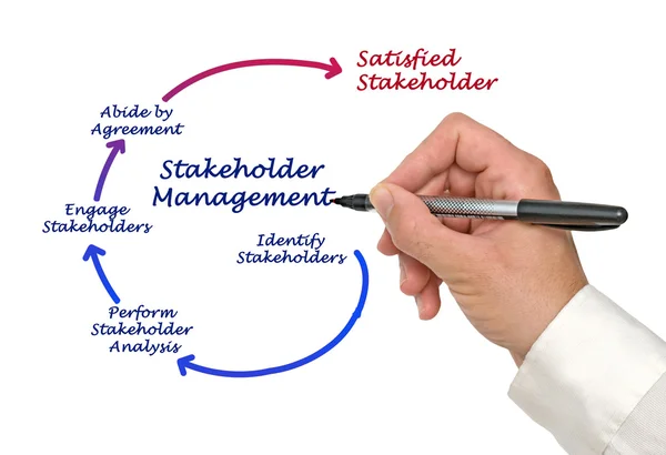 Stakeholder Management — Stock Photo, Image