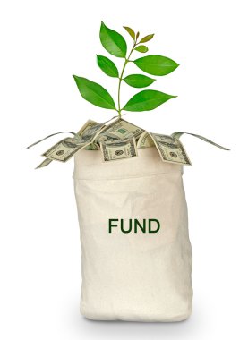 Bag with fund clipart