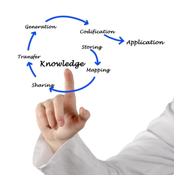 Knowledge — Stock Photo, Image