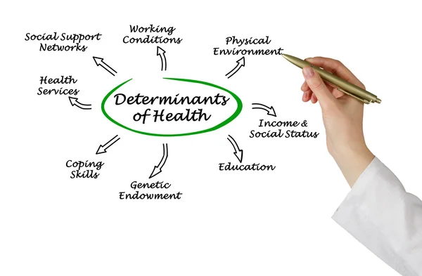 Determinanty zdraví — Stock fotografie