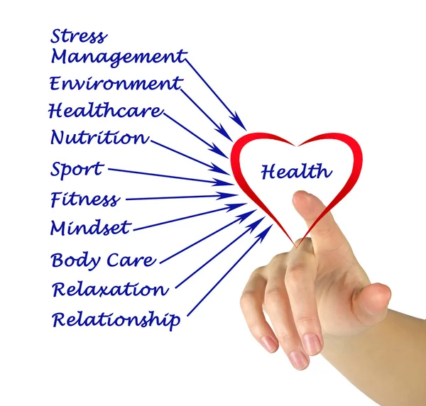 Diagram of health — Stock Photo, Image