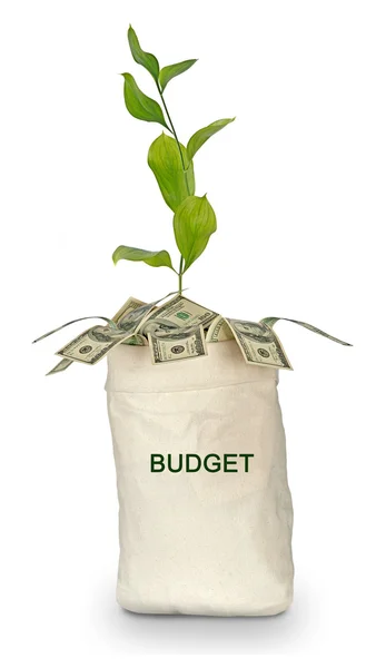 Bag with budget — Stock Photo, Image