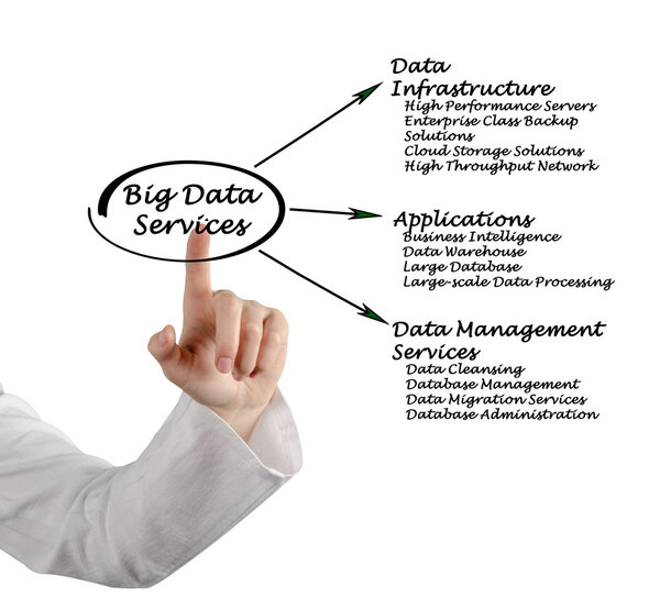 Big Data Services