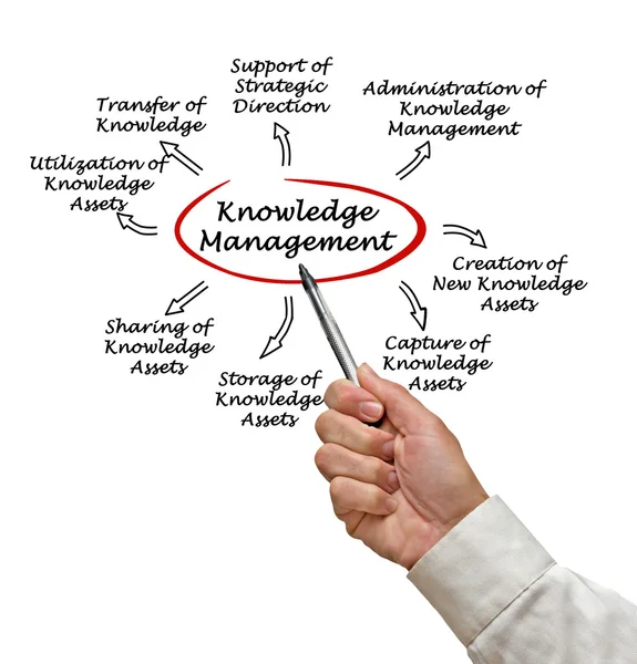 Knowledge Management — Stock Photo, Image