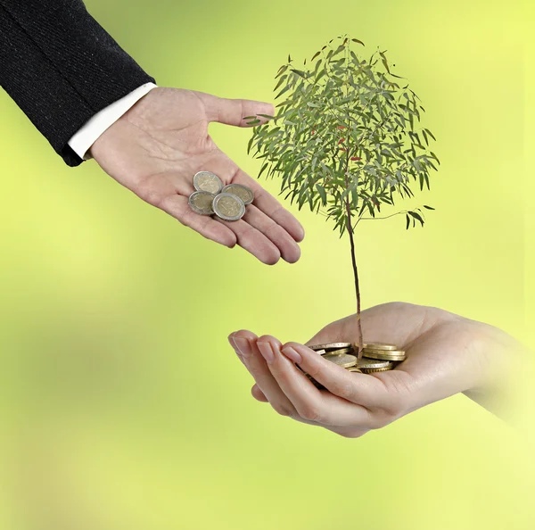Investera till gröna affärer — Stockfoto