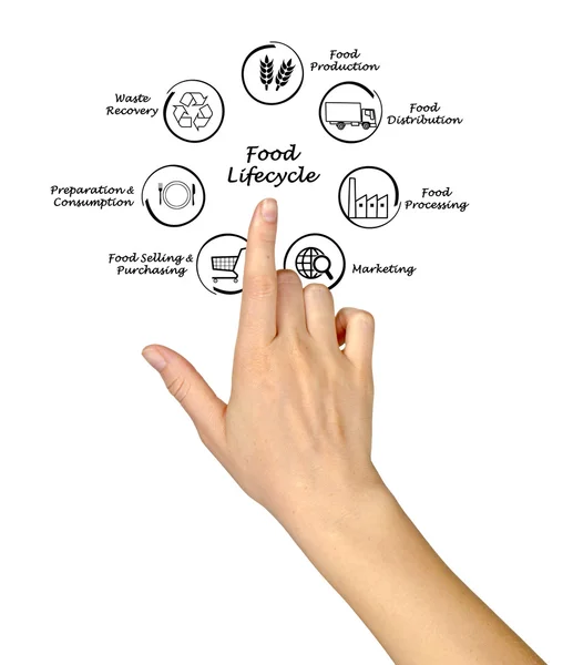 Food lifecycle — Stock Photo, Image