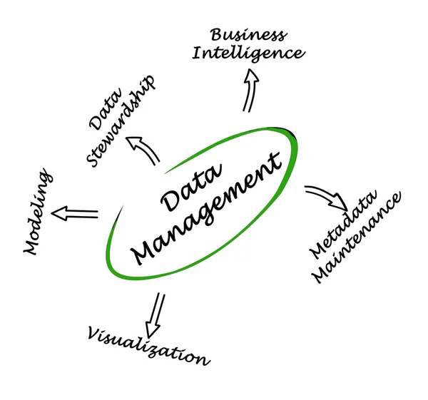 Zarządzanie danymi — Zdjęcie stockowe