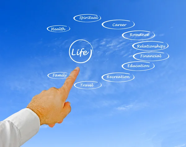 Diagram of life — Stock Photo, Image