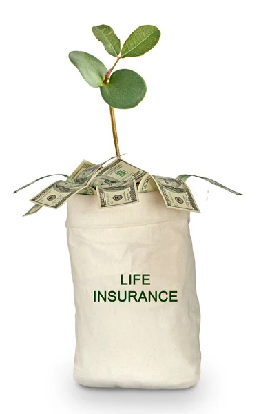 Bag with life insurance — Stock Photo, Image