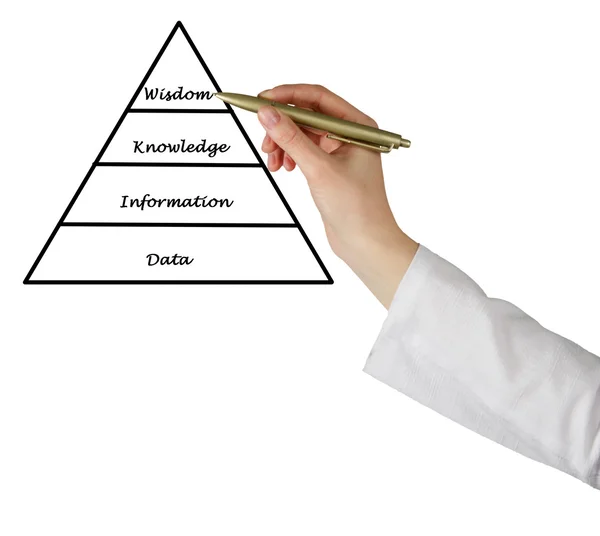 De los datos a la sabiduría —  Fotos de Stock