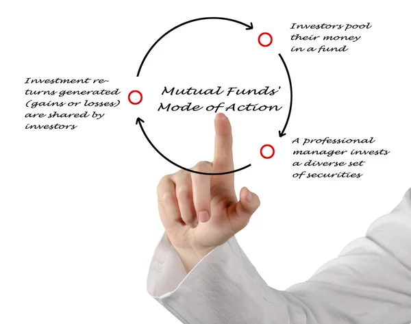 How Do Mutual Funds Work? — Stock Photo, Image