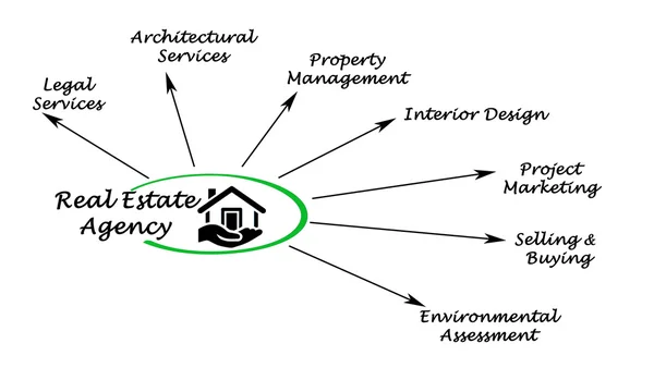 Services of real estate agency