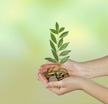 yeşil iş yatırım