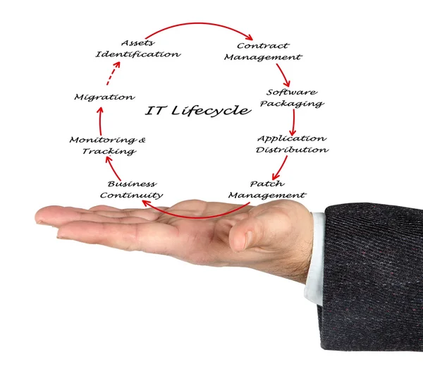 Gestión del ciclo de vida de TI — Foto de Stock