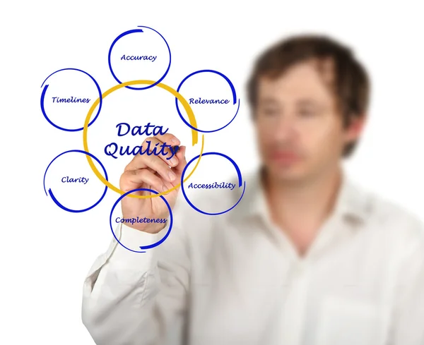 Diagram of data quality — Stock Photo, Image