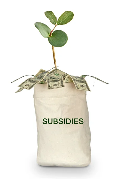 Tas met subsidies — Stockfoto