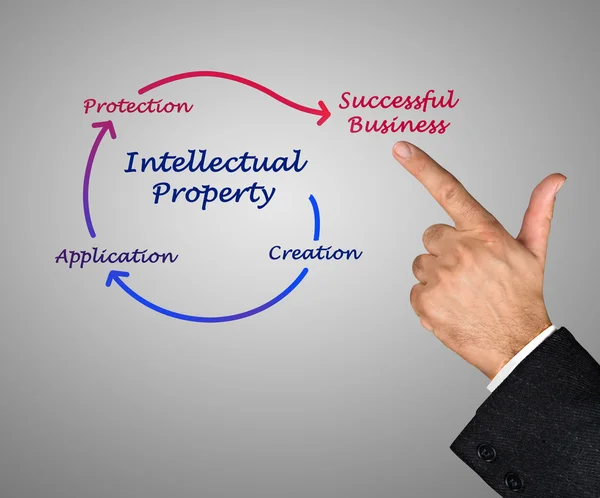 Intellectual property diagram — Stock Photo, Image