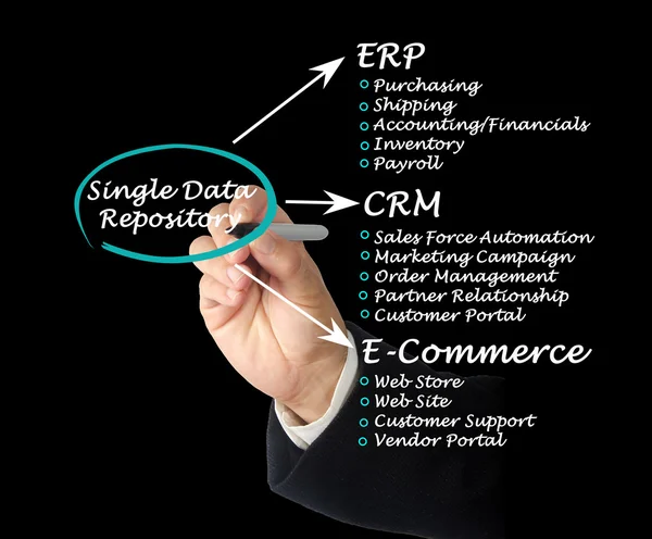 Single Data Repository — Stock Photo, Image