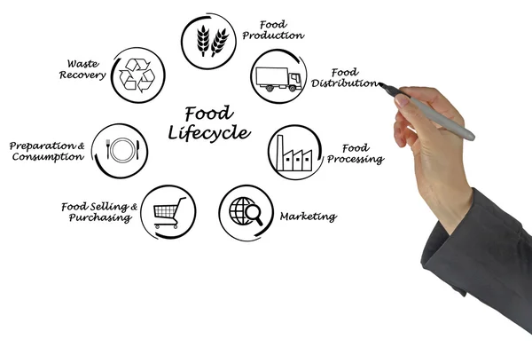 Food lifecycle — Stock Photo, Image