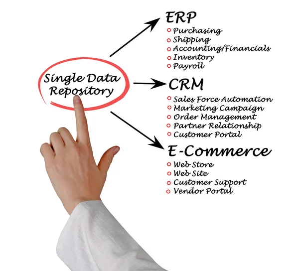 Single Data Repository — Stock Photo, Image