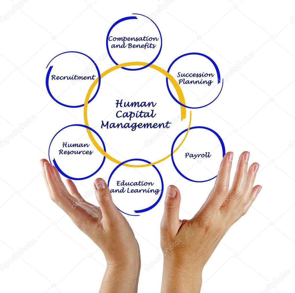 Human Capital Management — Stock Photo © vaeenma #63681377 Human Capital