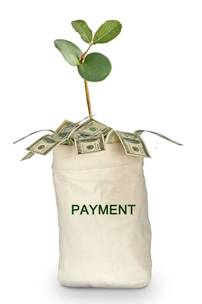 Bag with payment — Stock Photo, Image