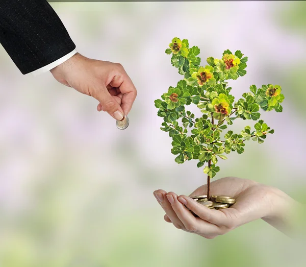 Investing to green business — Stock Photo, Image