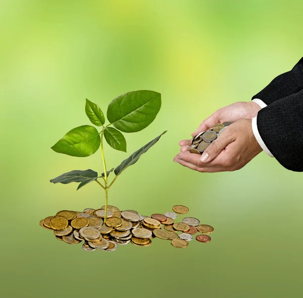 Investing to green business — Stock Photo, Image