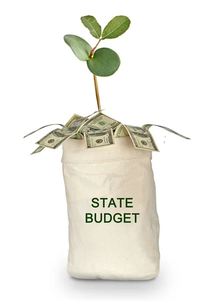 Bag with state budget — Stock Photo, Image