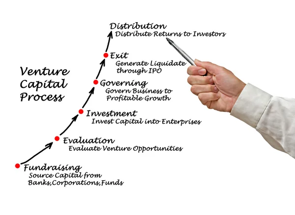 Venture Capital Process — Stockfoto