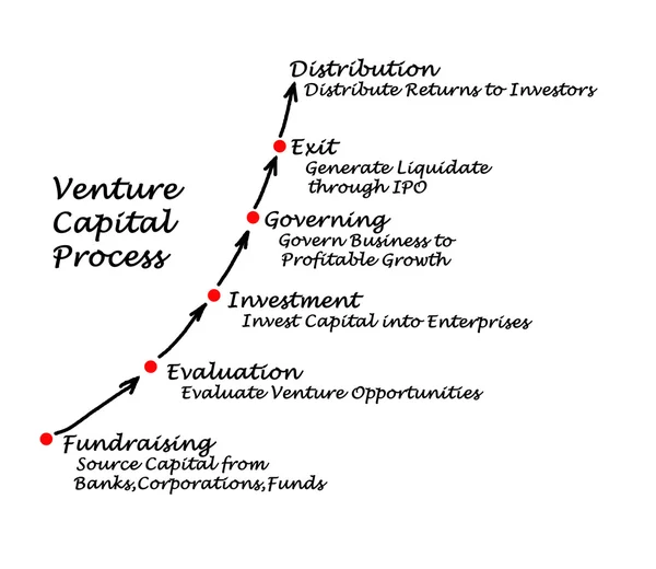 Venture Capital Process — Stockfoto